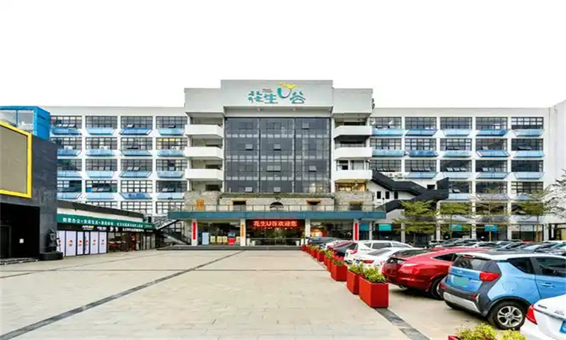 深圳市龙岗区花生U谷文化创意产业园：打造创意灵感的孵化器